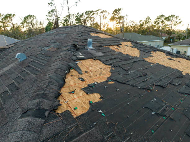 Trusted Union City, CA Roofing Service  Experts